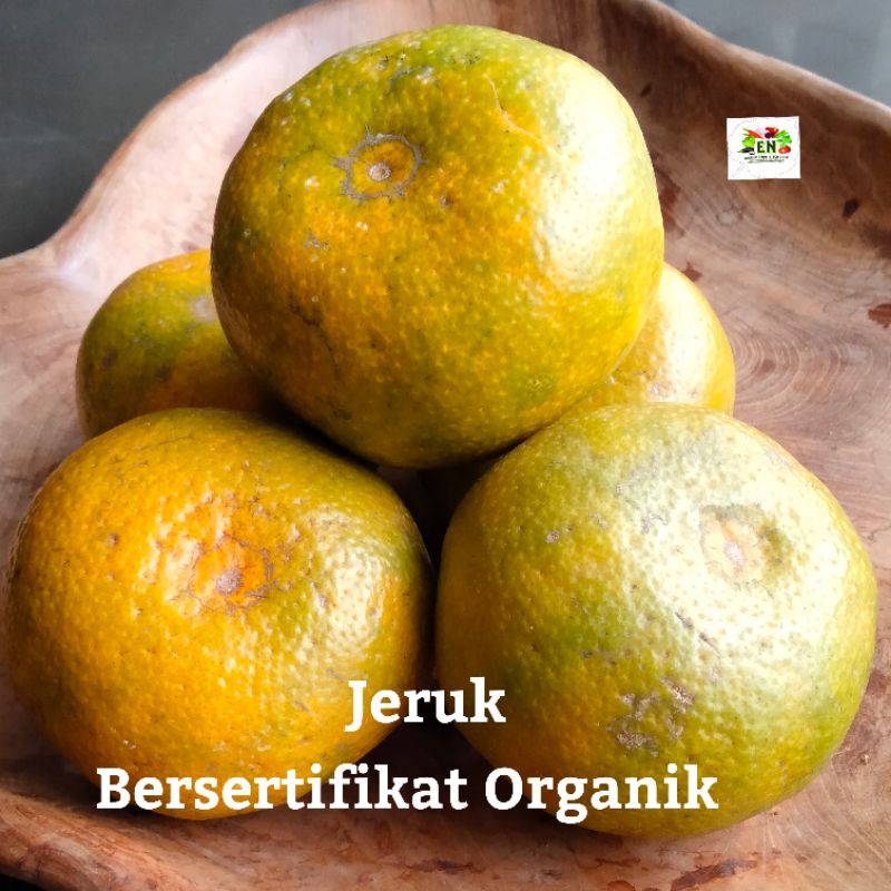 

1kg Buah Jeruk Organik 100% Sertifikat Vegetable Murah Sehat Healthy Life Grosir Supermarket