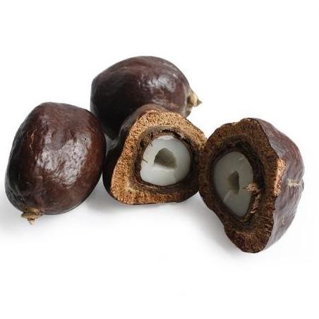 

M39 Buah zuriat madinah 1kg / zuriat madinah / buah zuriat promil original READY ㅞ