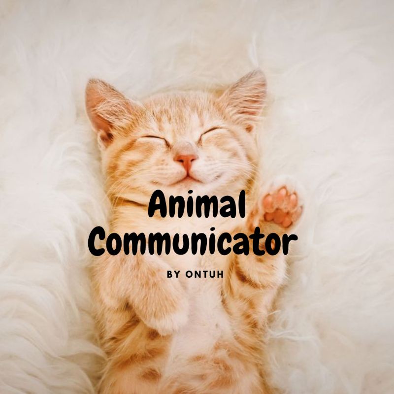 Ontuh Animal Communicator Indonesia Gratis dan Biaya Murah Jasa Ancom Kucing Anjing Hewan Peliharaan Lainnya