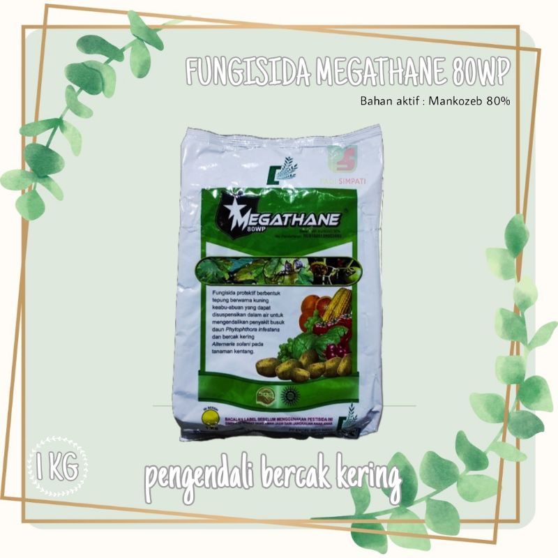 FUNGISIDA MEGATHANE 80WP 1KG