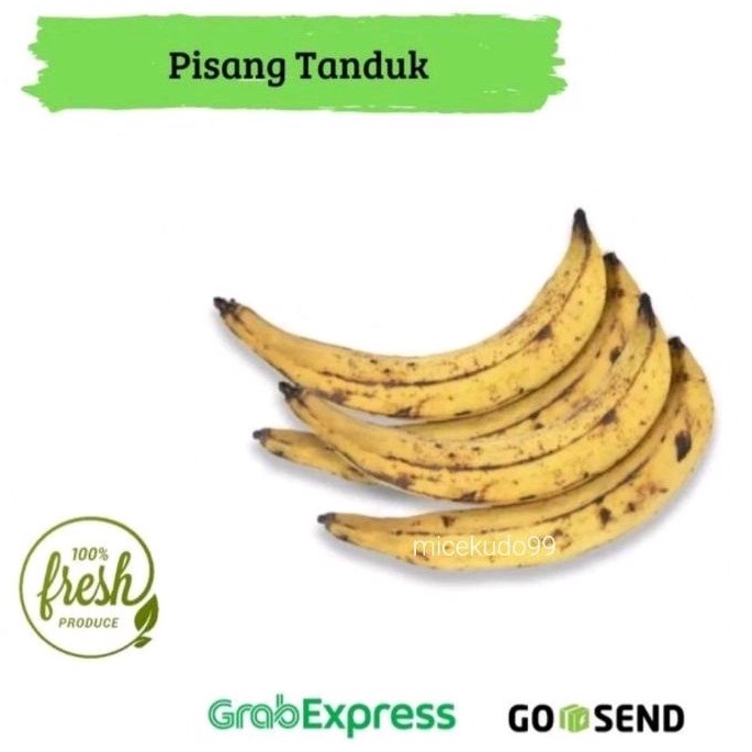 

PISANG TANDUK ORGANIK SEGAR FRESH