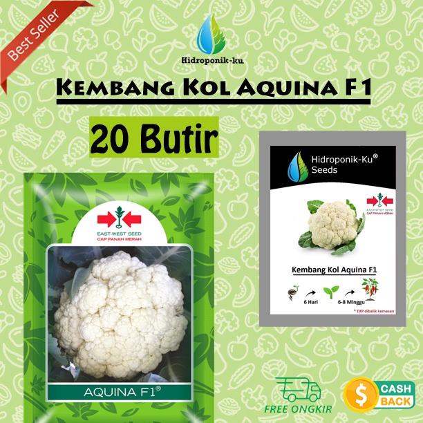 Benih/ Bibit Kembang Kol Aquina F1 Isi 20 Biji Cap Panah Merah