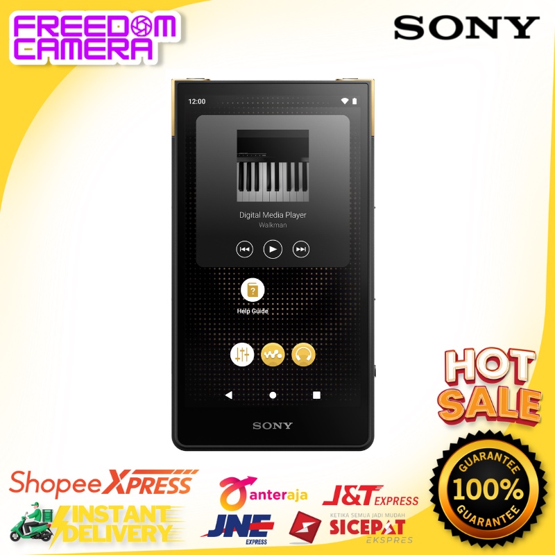 SONY NW ZX 700 WALKMAN Hi Rice MP3 Player
