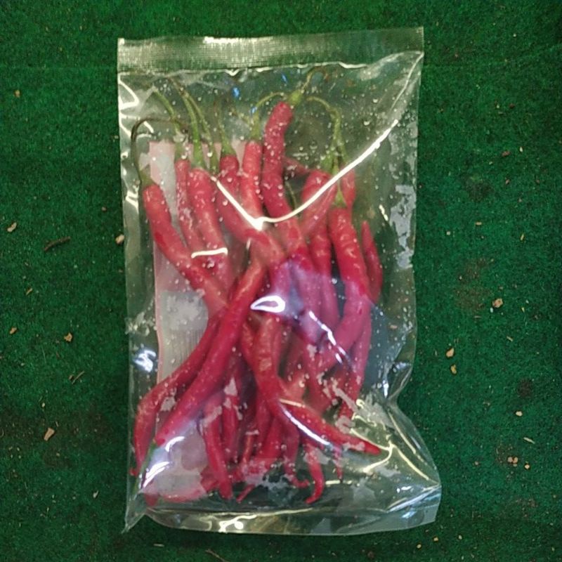 

CABAI MERAH KERITING 100 GRAM CABE SEGAR DENPASAR BALI