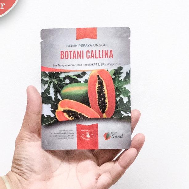 ☉ benih pepaya california asli IPB isi 150 terbaru ➦
