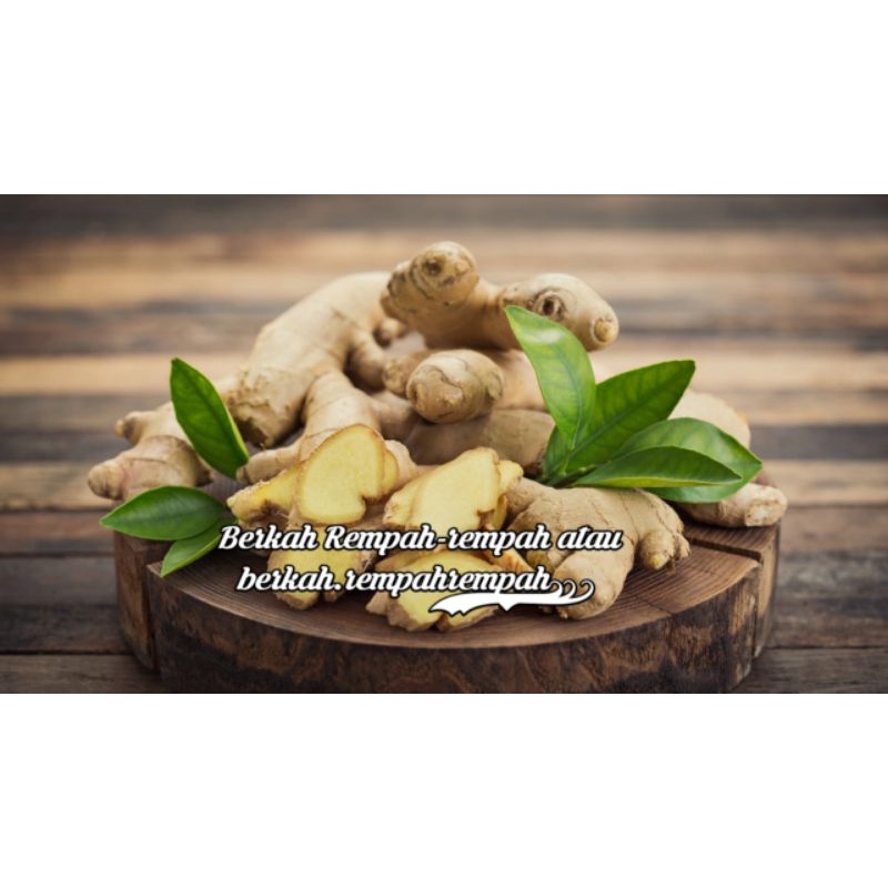 

Jahe putih super 500g fresh