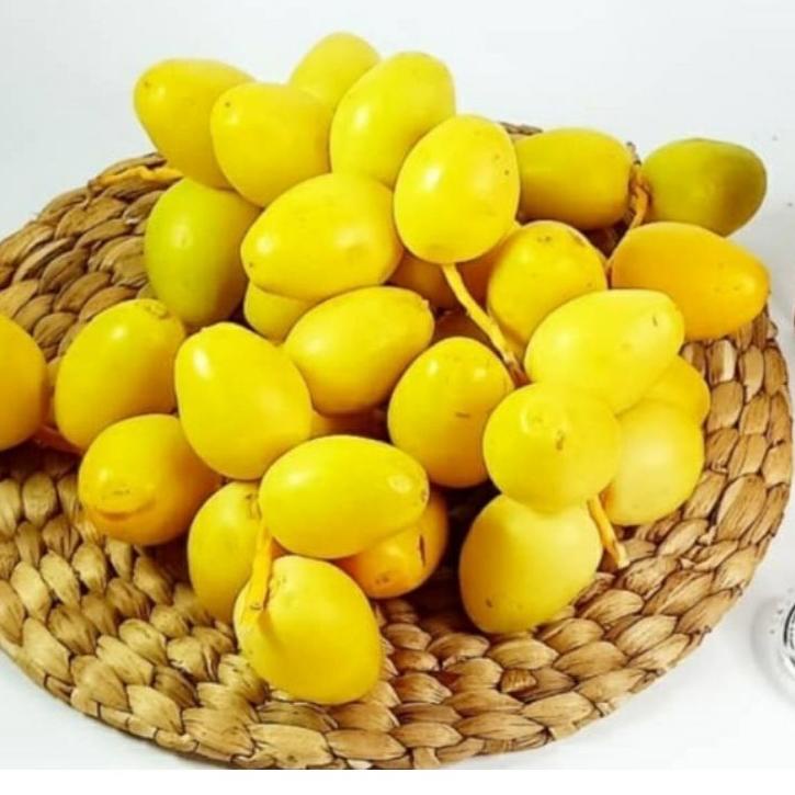 

☚ KURMAMUDA READY ( BISA MIX MERAH-KUNING ) ☜