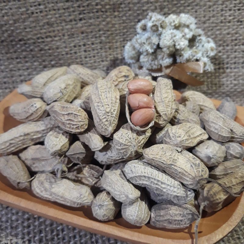 

KACANG KULIT SANGRAI/KACANG KULIT ASIN Netto.250gram