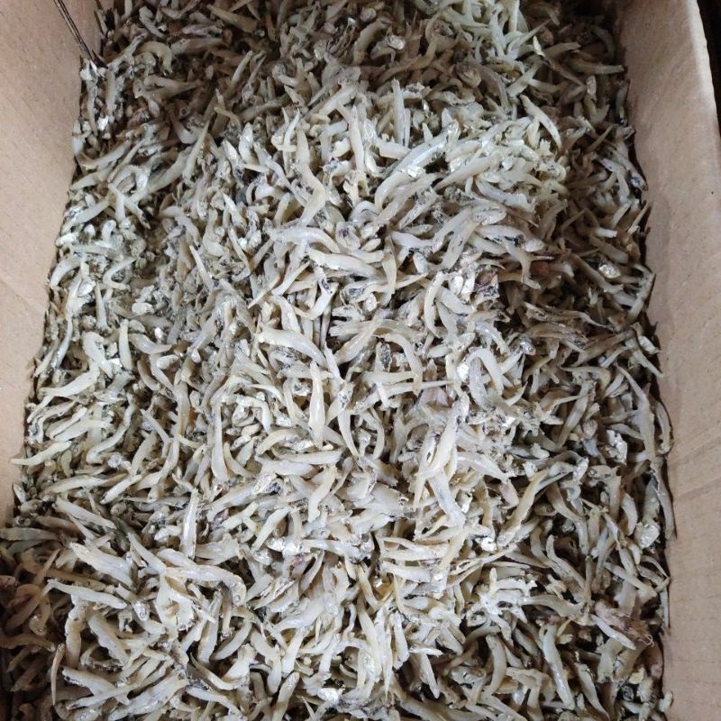 

Teri Buntio Cantik // tersedia 250gr-1kg