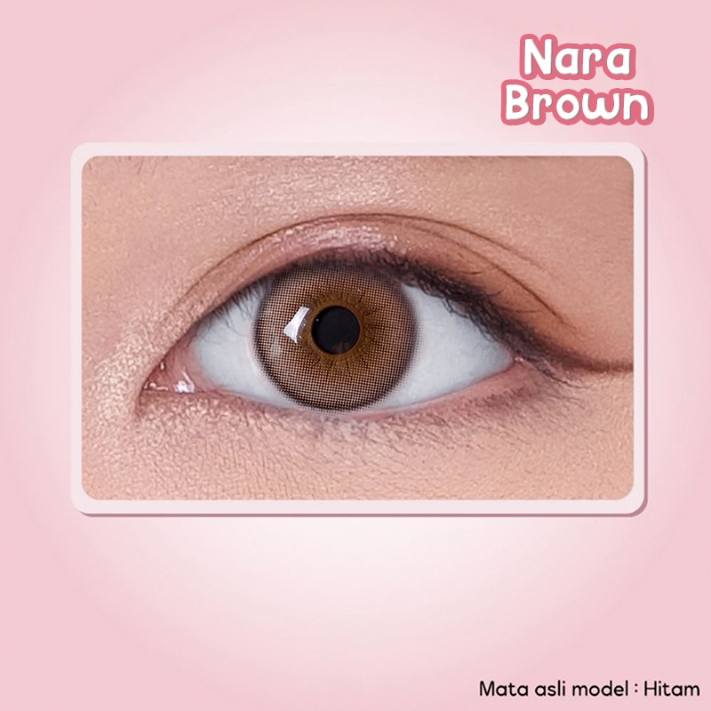 Pink Rabbit Softlens Minus Nara Soflens Brown