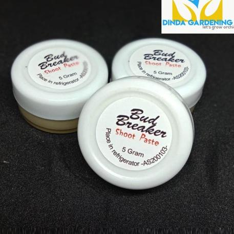 ֍ Bud Breaker penumbuh tunas anggrek 5gram ✽