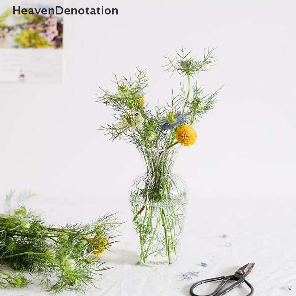[HeavenDenotation] Transparent Flower Vase Glass Vase Ornaments Plants Container Holder HDV
