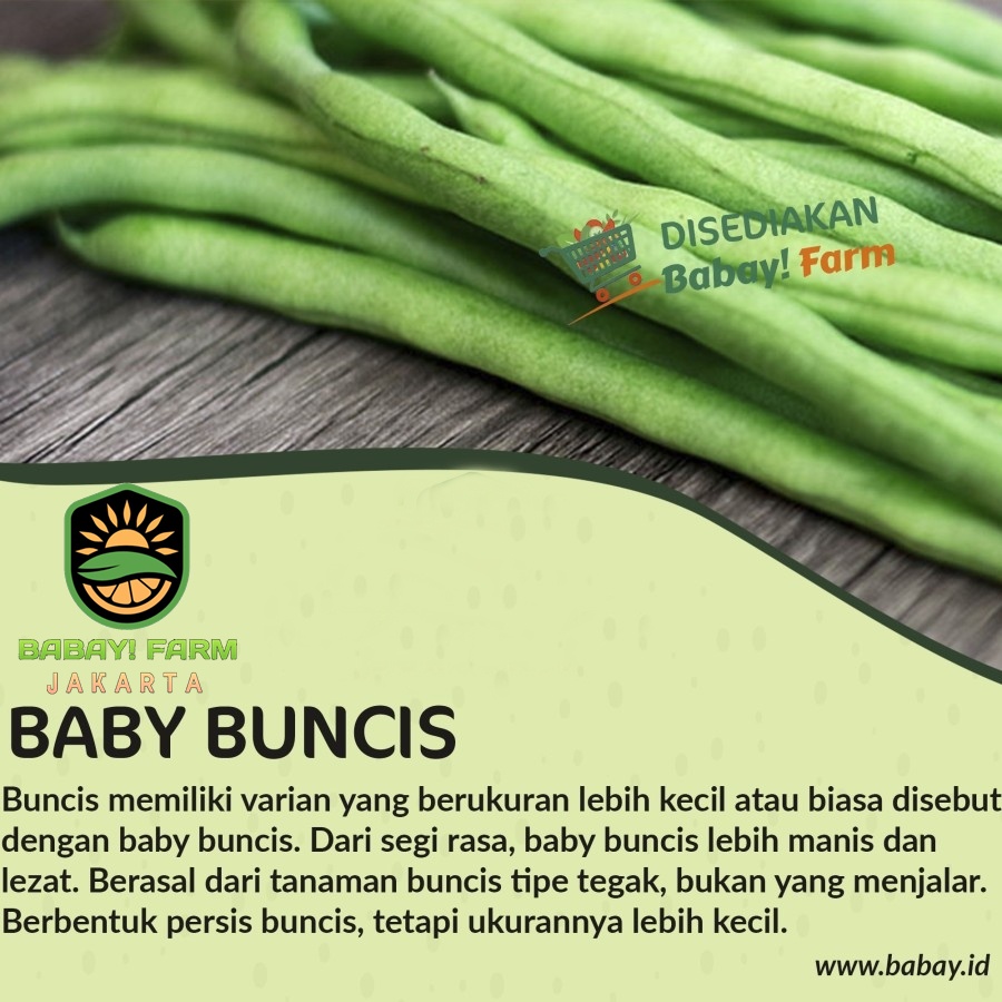 

Baby Buncis Segar 250 500 gr / 1 kg