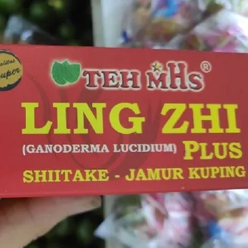 TEH MHS LING ZHI PLUS SHIITAKE JAMUR KUPING / TEH MHS