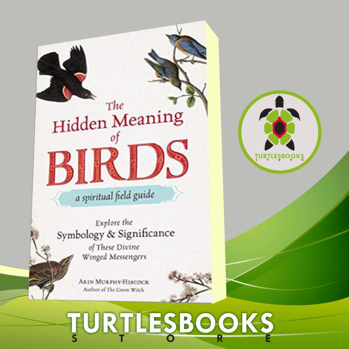 The Hidden Meaning of Birds--A Spiritual Field Guide: Explore the Symb