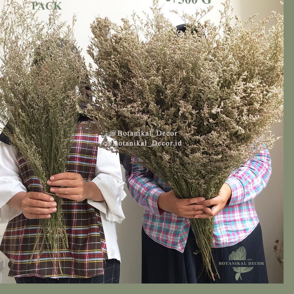 Belanja kuat Dried Flower Caspea Lovergrass Reseller Grosir Bunga Kering Asli buket hiasan pesta dek