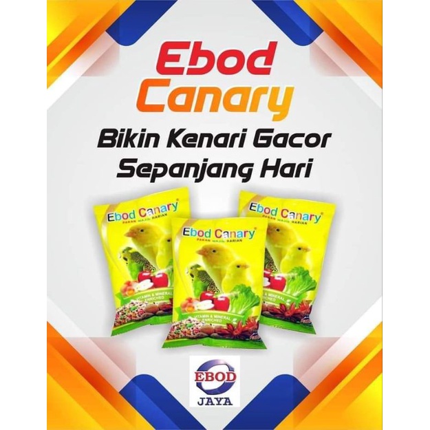 Ebod Canary, Ebod Kenari, Pakan Burung Kenari Berkualitas