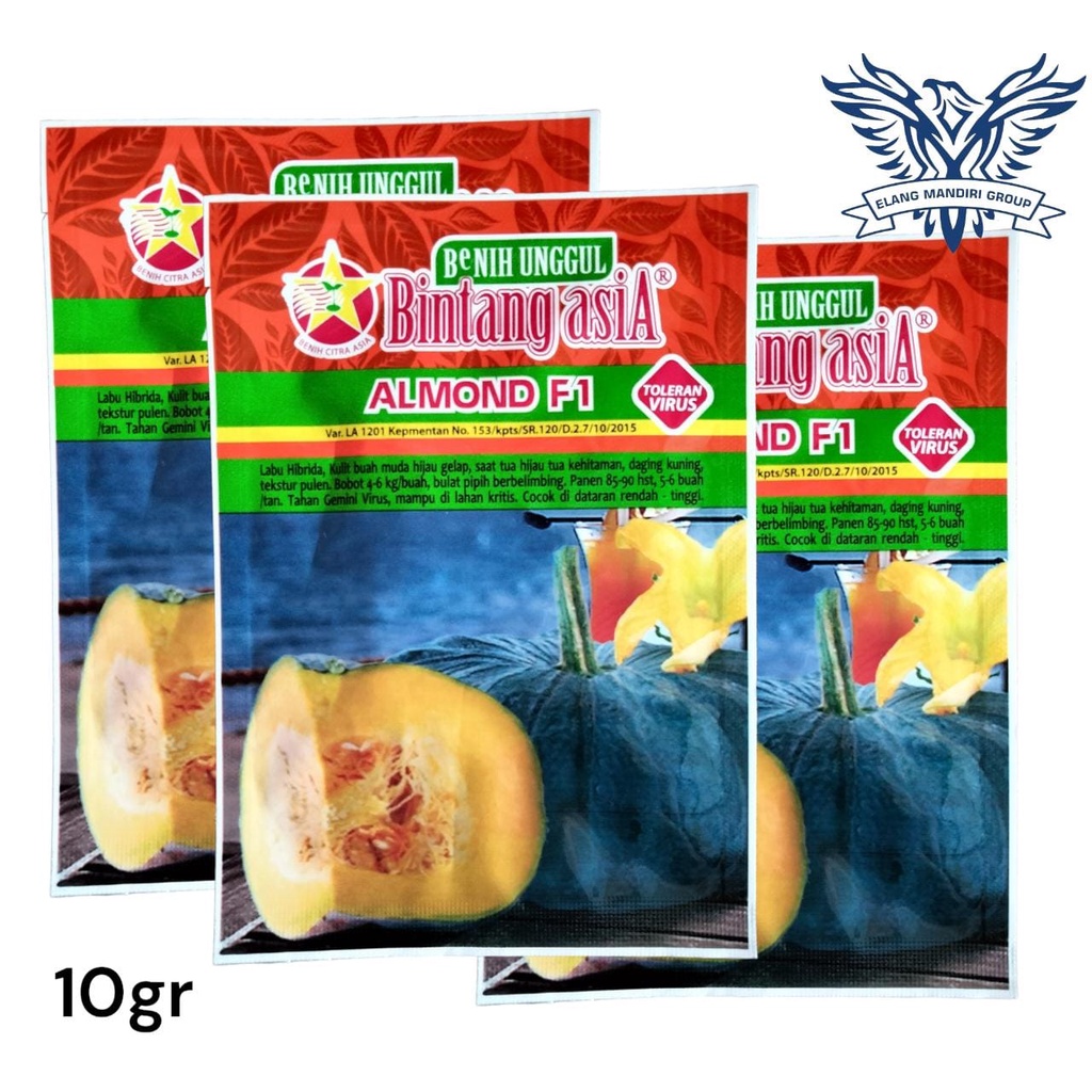 Benih Bibit LABU ALMOND F1 10gr Bintang Asia 100% Original - Kusuma f1