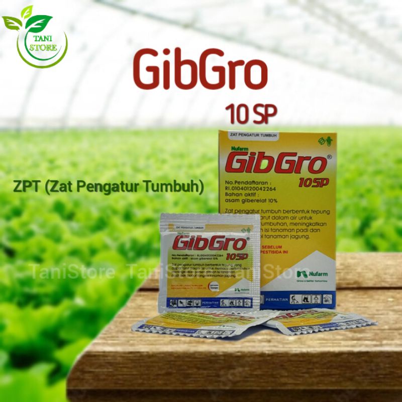 ZPT (zat pengatur tumbuh) GIBGRO 10 SP