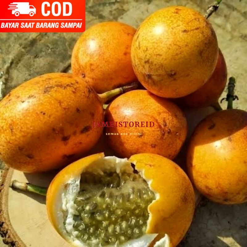 

(JAMBISTOREID) PILIH PENGIRIMAN INSTAN Buah Markisa 1kg Tropical Fruit Eksotik Tropis Jambi