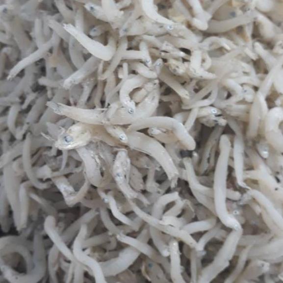 

♨ Ikan Teri Nasi Toge Medan Super 250gr ➲