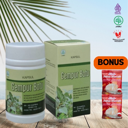 Herbal Gempur Batu ampuh mengobati batu ginjal. kemasan baru.