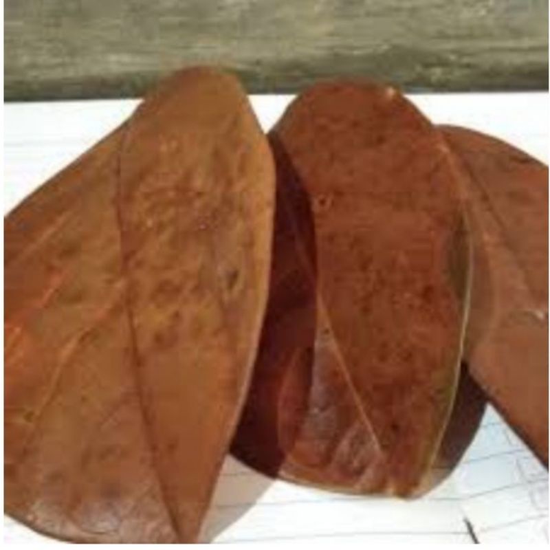 DAUN NANGKA KERING DAUN NANGKA TERBAIK