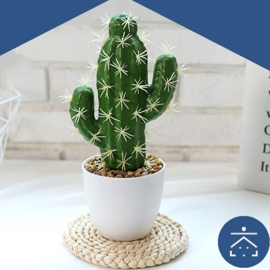 ➢ Kunataruma - Tanaman Kaktus Mini Plastik Bunga Artificial Paket Sukulen Dekorasi Lamaran Pernikaha