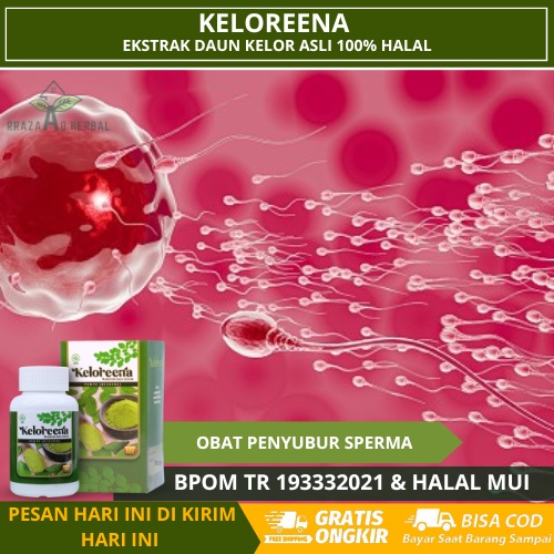 Obat Penyubur Sperma, Vitamin Penambah Sperma Untuk Pria, Suplemen Pengental Sperma, Mengentalkan Sp