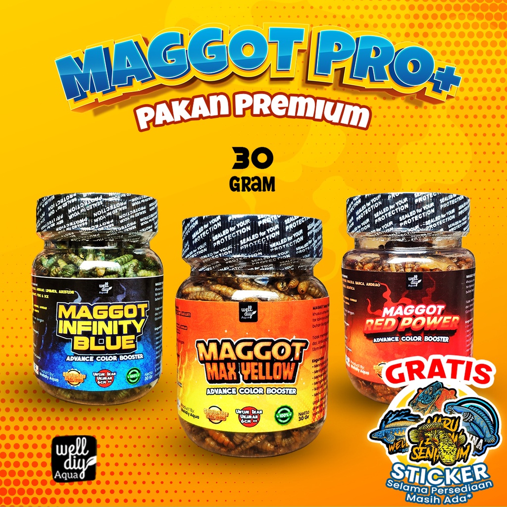 Maggot Kering BSF Pakan Ikan Channa Predator Louhan Arwana Oscar Pbas