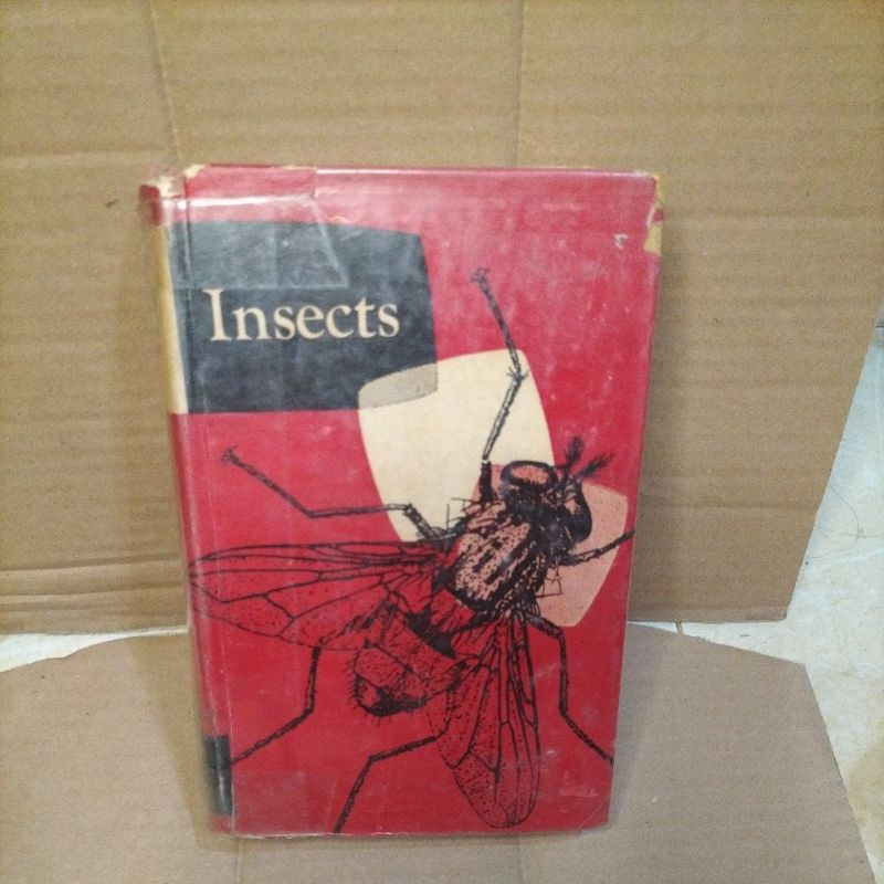 insects