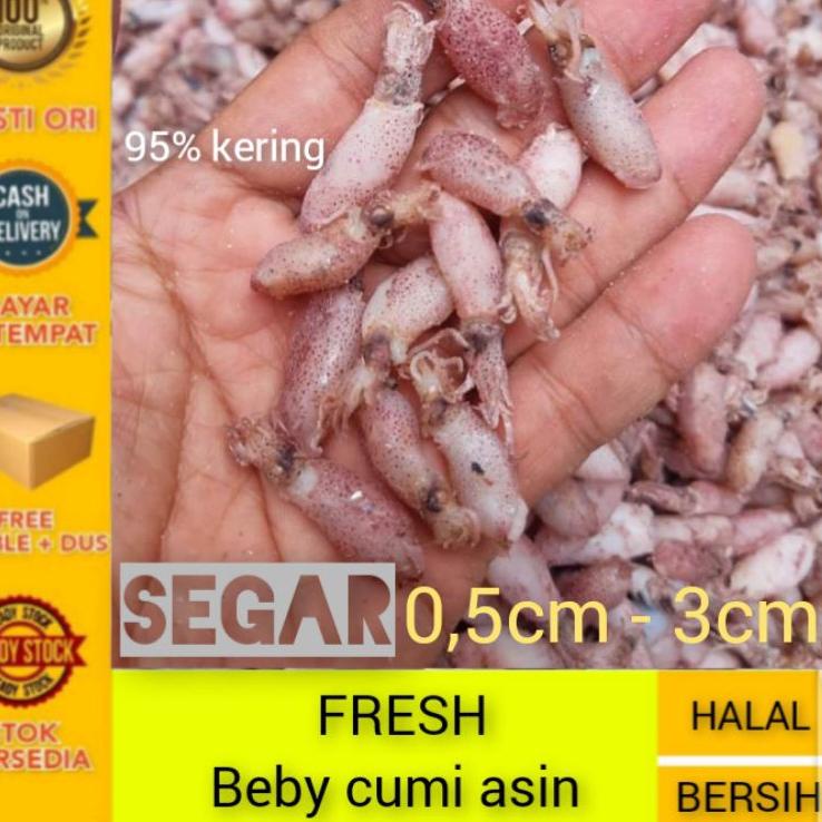 

✾ ikan asin cumi beby super ❊