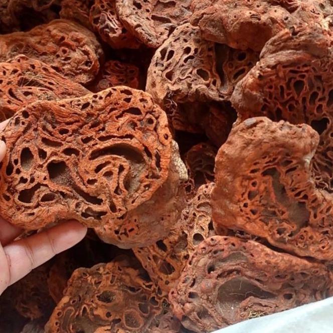 

♛ Sarang Semut Papua Asli 500gr ○