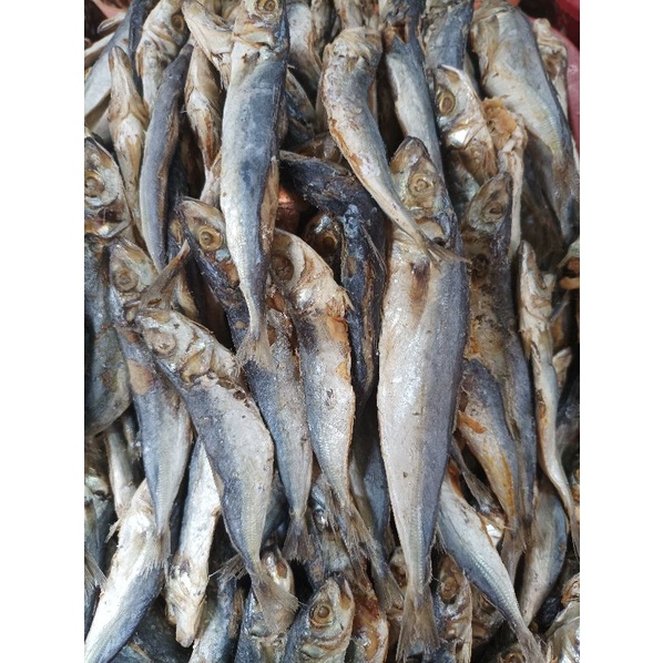 

Ikan Layang Asin 1KG