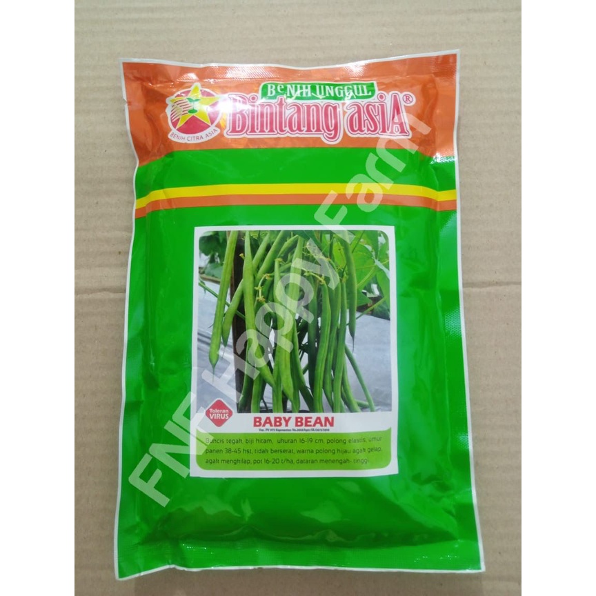 Benih Buncis BABY BEAN 500gr tanpa lanjaran