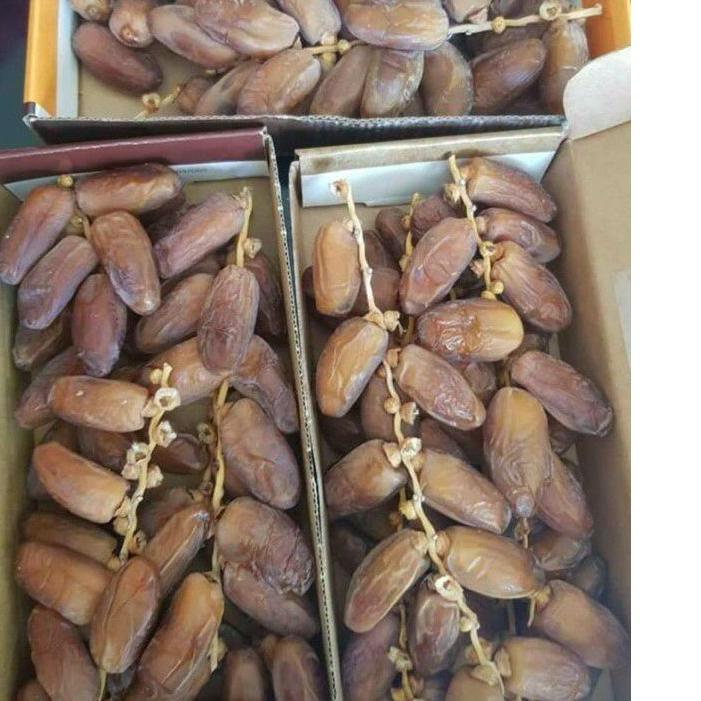 

۞ kurma palm fruit tunisia 500gr ◘
