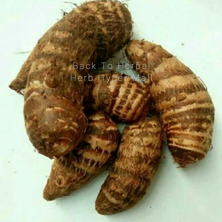 

>V44859) TALAS KIMPUL/MBOTE PULEUN Organik 1kg