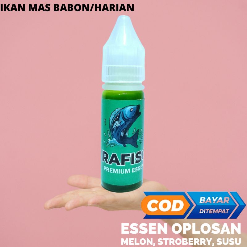 essen ikan mas babon galatama essen pengumpul ikan mas dilapak essen ikan mas paling bagus segala um