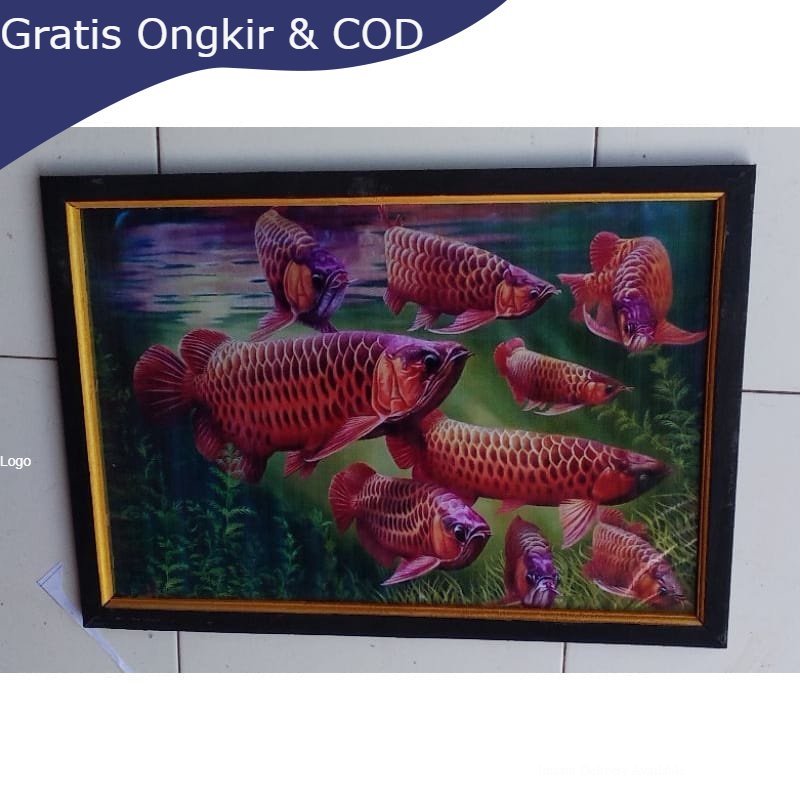 Lukisan murah poster murah hiasan dinding gambar ikan arwana super red plus bingkai ukuran 65×45