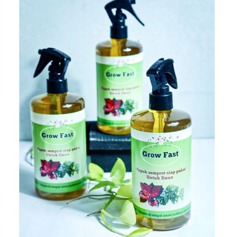 MEN SALE  grow fast pupuk daun - aglonema - pupuk penyubur tanaman hias - pupuk aglonema terbaik - pupuk penyubur daun - grow more - pupuk cair grow fast