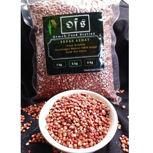 

12.12 MALL BERAS SORGUM/CANTEL MERAH KUPAS ORGANIK 1KG