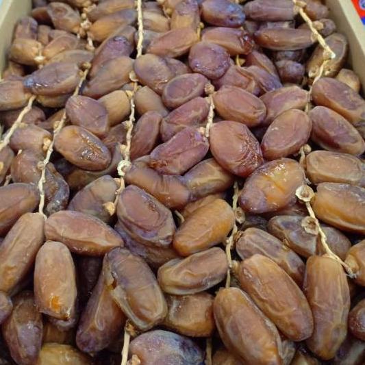 

➷ kurma tunisia tangkai /palm tangkai 500gr kemasan dus EL RIAD ✰