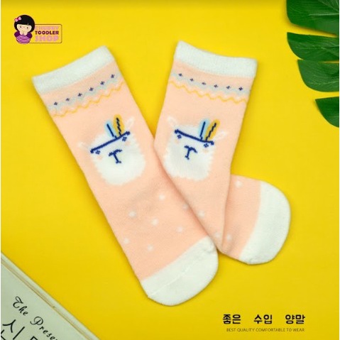 littlekiddoss SC2137 Kaoskaki Panjang Anak Perempuan Import Kaos Kaki Katun Anak Lucu