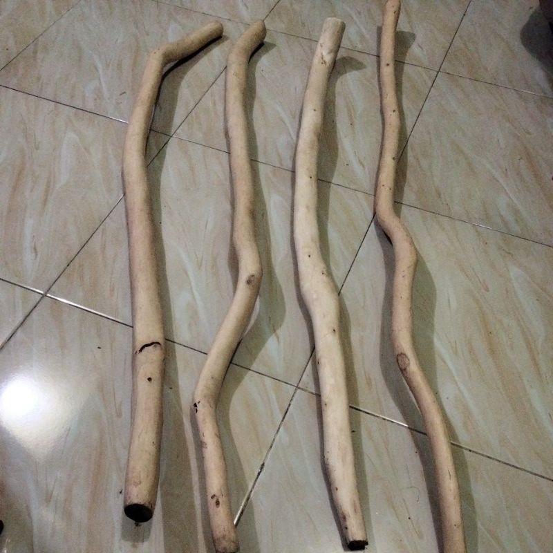 tongkat jalan kayu Cendana Kupang