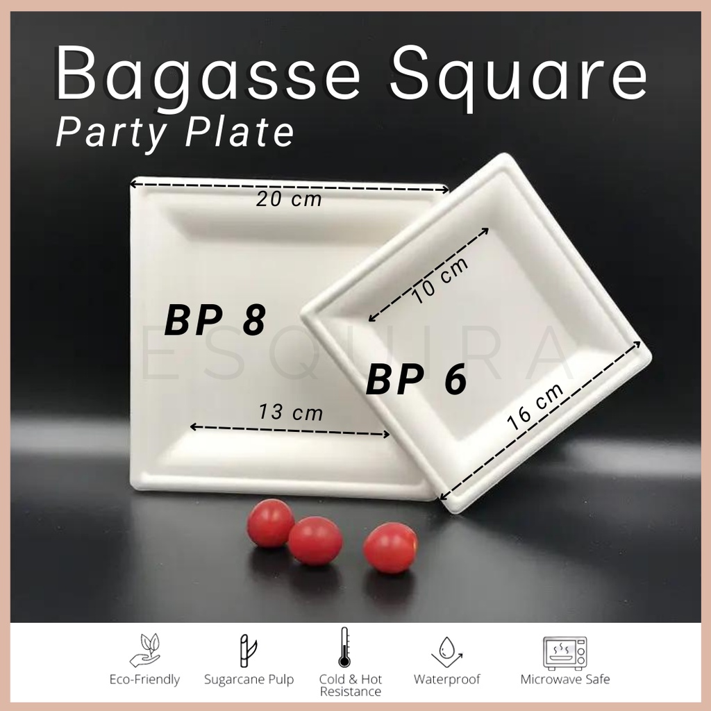 Bagasse Square Party Plate 8 inch / Sugarcane Plate 10 PCS / BP-8