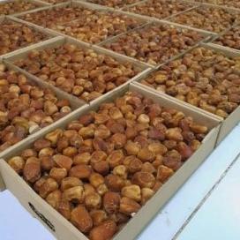 

♬ Kurma Sukari 3kg /Kurma Raja Sukari Premium ☇