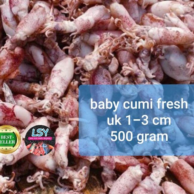 

➩ ikan asin baby cumi / cumi rebus 78 berat 500gram ✭