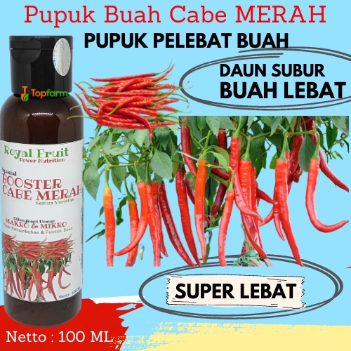 Obat Pembesar Batang Pohon Cabe 100 mL / Obat Pembesar Daun Cabe / Pupuk Booster Cabe Dan Sawi/ Pupu