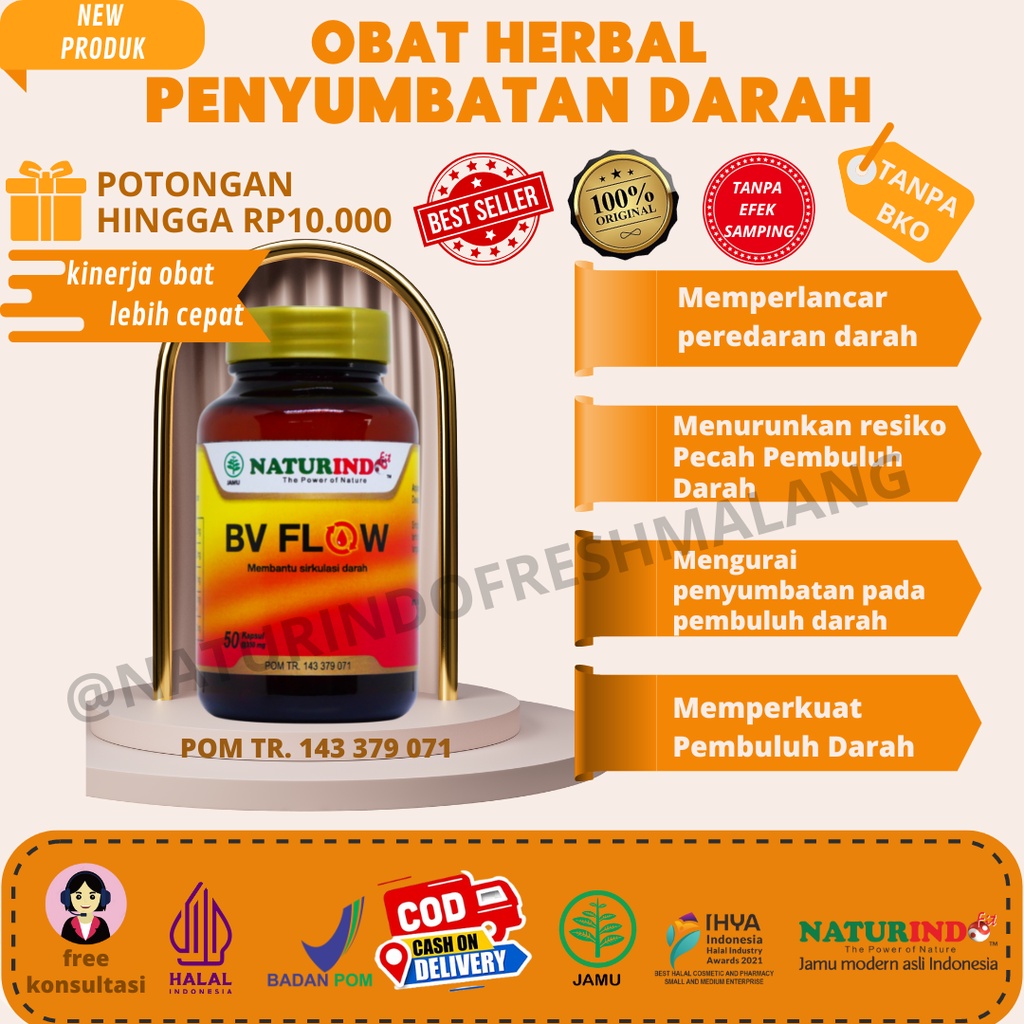 Jual Bv Flow Obat Pengencer Penyumbatan Pembuluh Darah Shopee Indonesia 3415