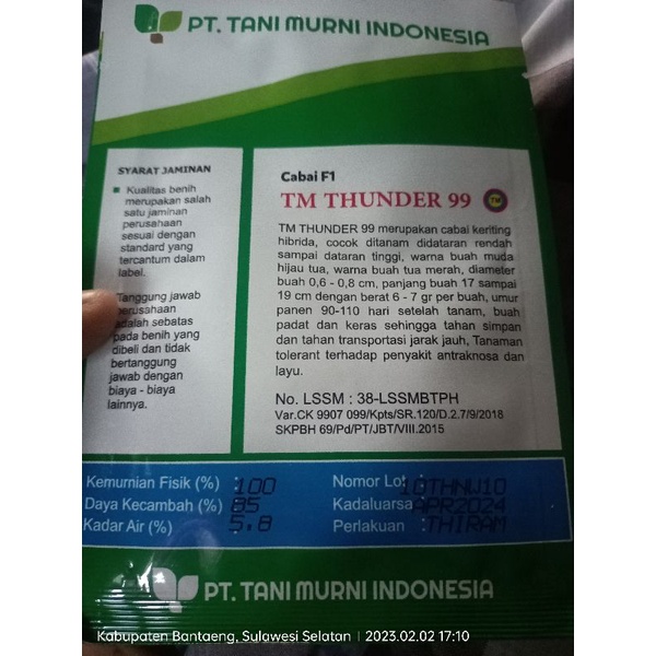 BENIH CABAI TM THUNDER 99